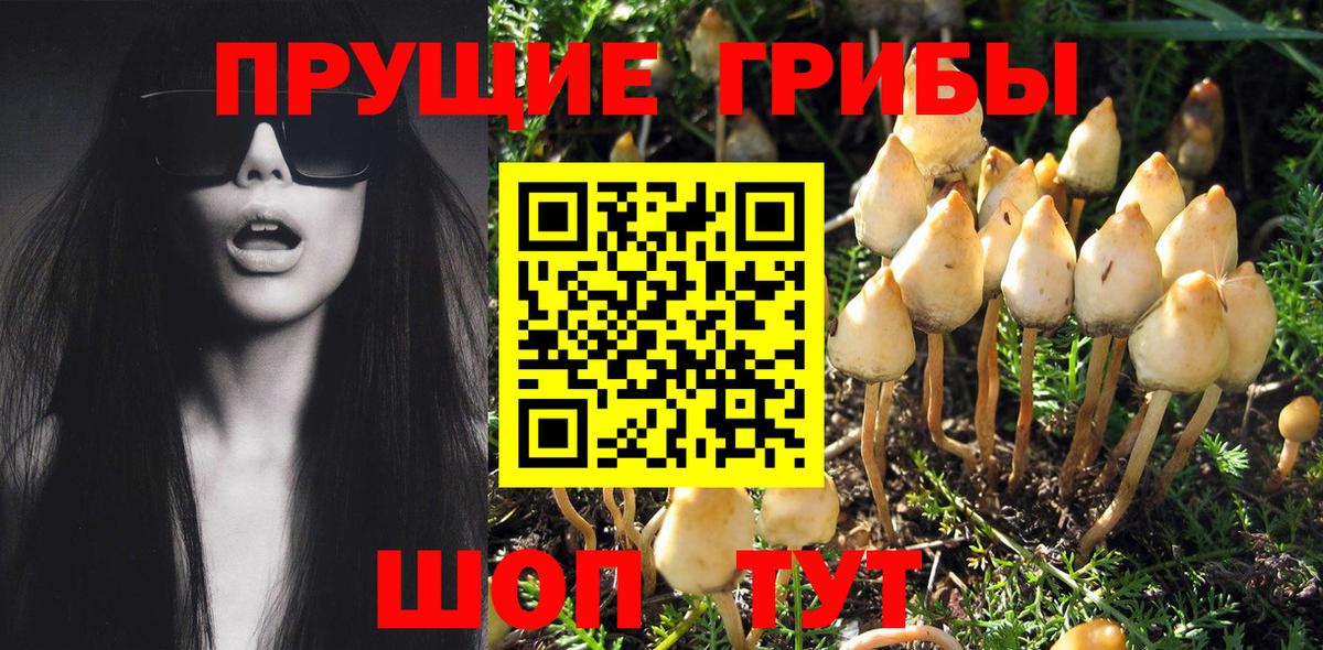 Псилоцибиновые грибы мицелий Евпатория