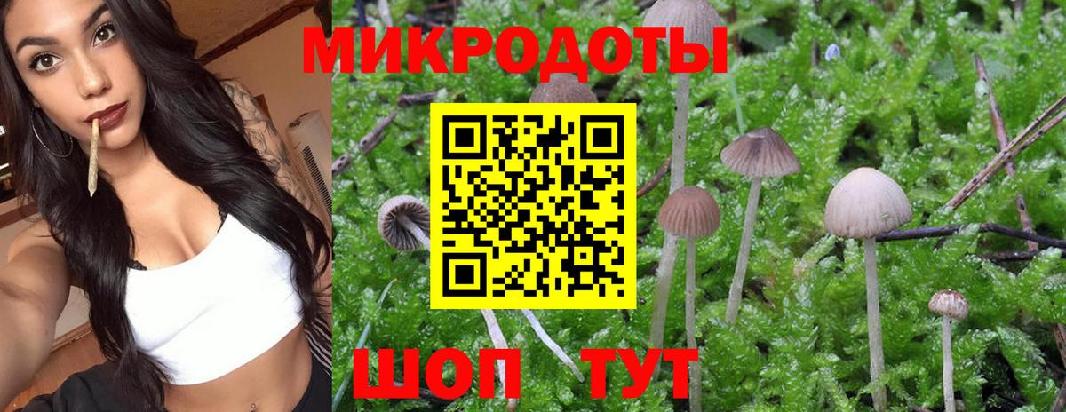 Галлюциногенные грибы GOLDEN TEACHER  Вход с VPN  Евпатория 